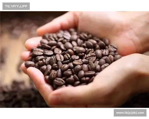 如何在波动少女3中有效提升角色成长与技能进阶策略