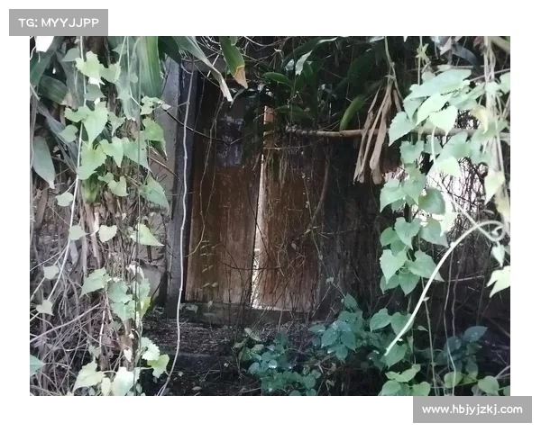 澄海3C5.49版本地图下载资源大全与安装指南推荐 澄海3C5.49版本地图下载资源大全与安装指南推荐