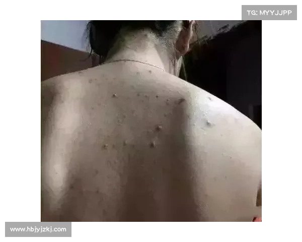 揭开小卢卡斯替补之谜真相背后的深层原因与影响分析