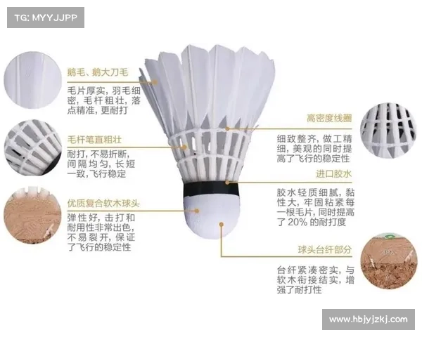 大马羽毛球超级1000赛五大关键事实揭示赛事背后的魅力与挑战